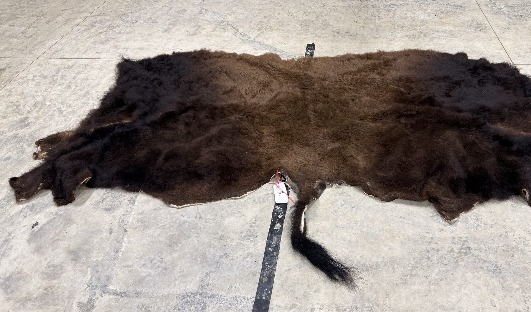 Tanned bison hide 100 by 55 inches