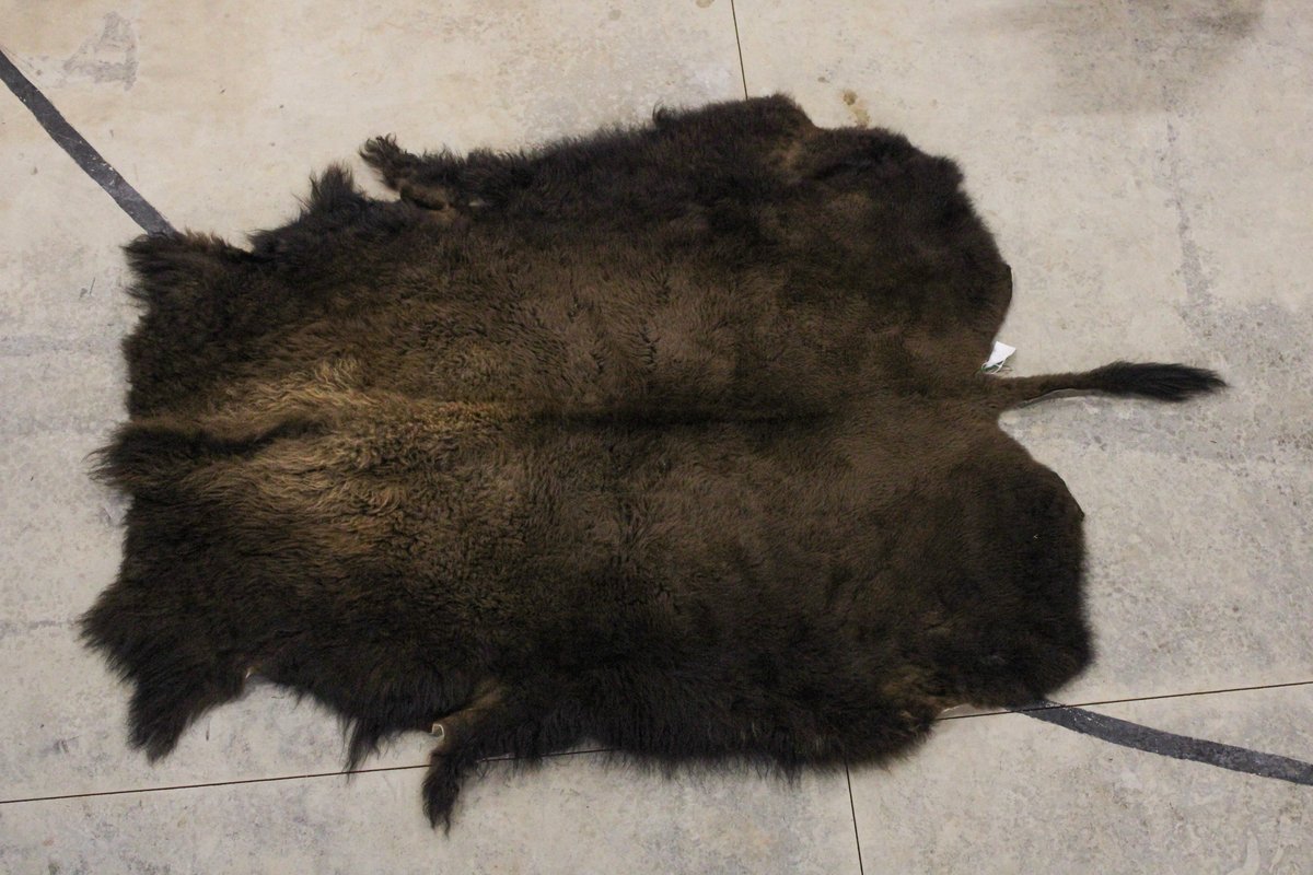 Tanned bison hide rug