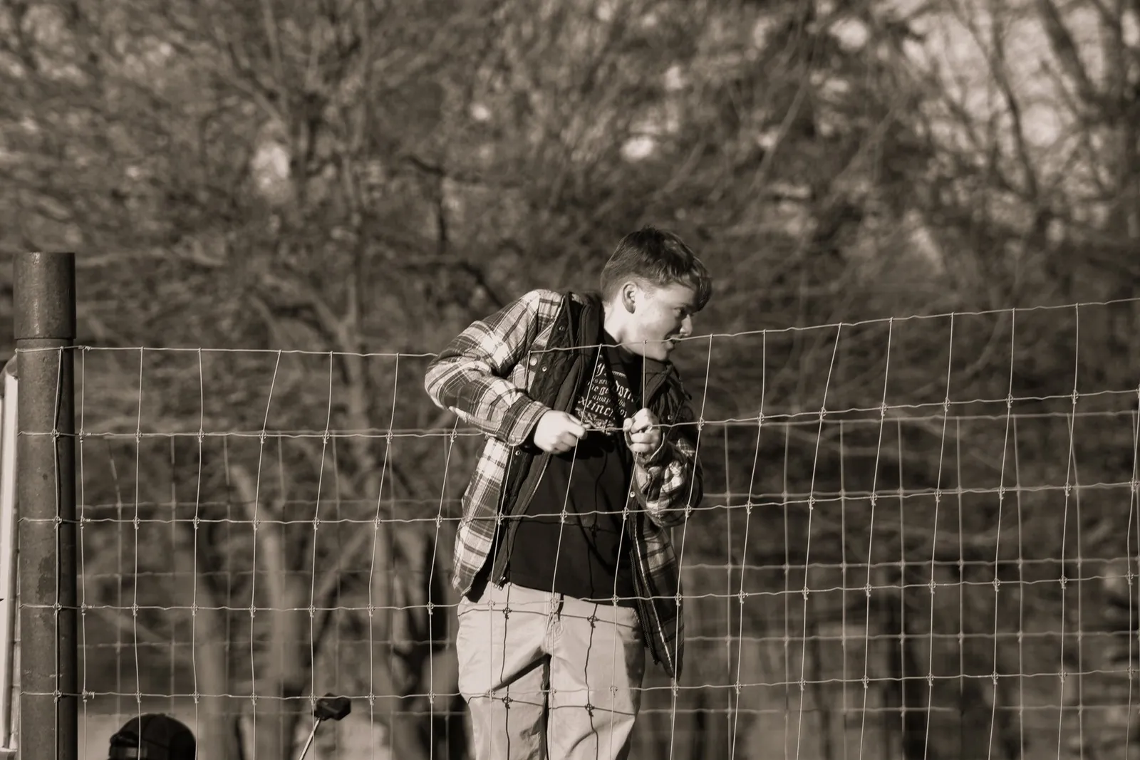 Cooper at the fenceline