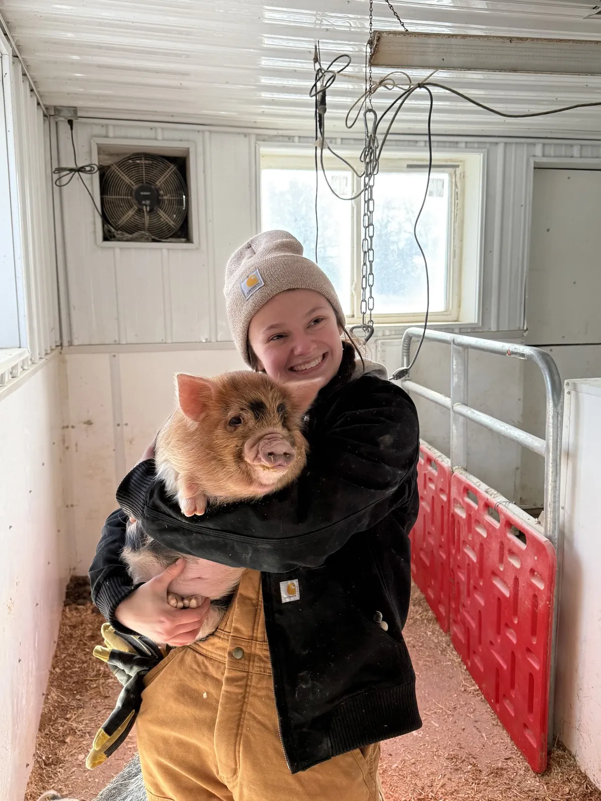 Delanie with a KuneKune piglet